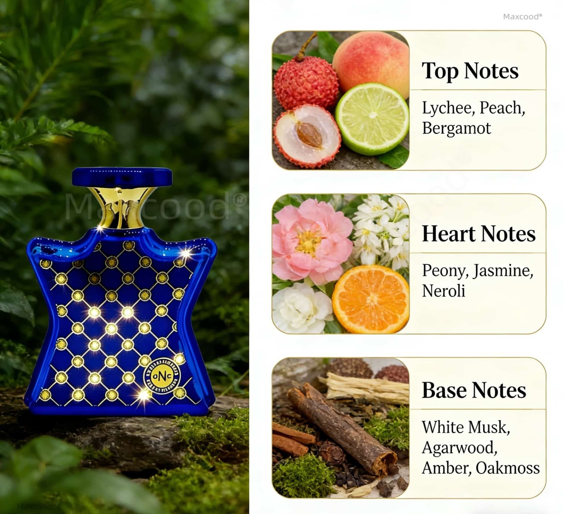 Citrus and Floral Perfume Long - đánh giá và giá Unique Perfume Fragrance