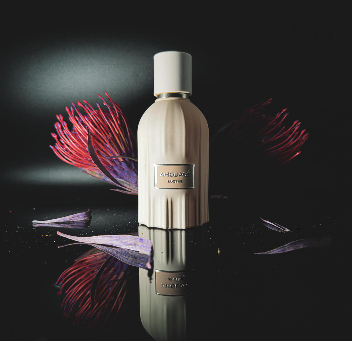 Amouage Lustre Perfume 100ml L - đánh giá và giá Perfume Fragrance Details
